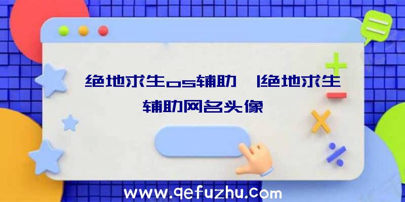 「绝地求生os辅助」|绝地求生辅助网名头像